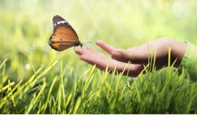 Rakoll od ponad 150 lat zawsze na topie